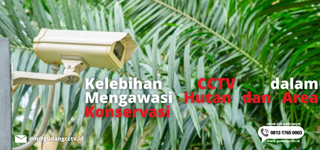 Kelebihan CCTV dalam Mengawasi Hutan dan Area Konservasi